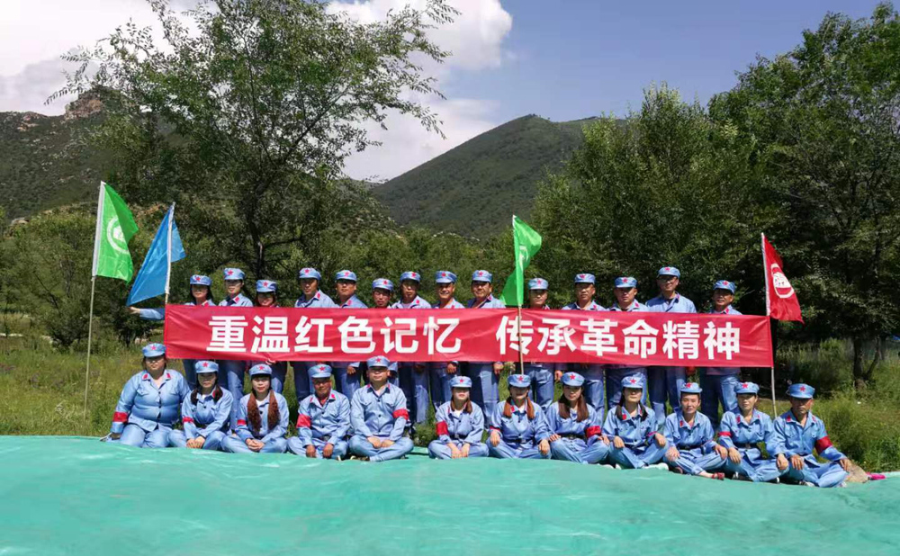 1564723656105255.jpg d01.jpg