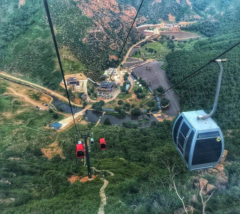 1564723995109847.jpg d03.jpg