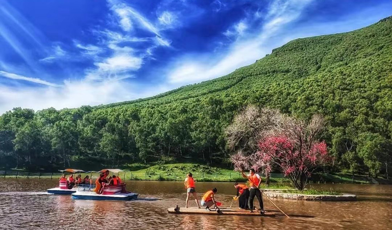 1564724042476361.jpg d05.jpg